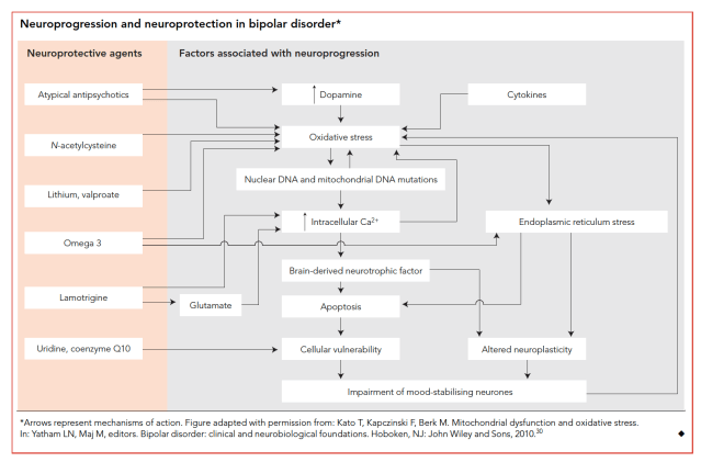 Screen Shot 2018-12-29 at 9.34.38 AM